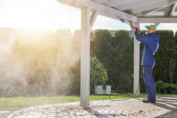 Best Soft Washing  in Jersey Village, TX