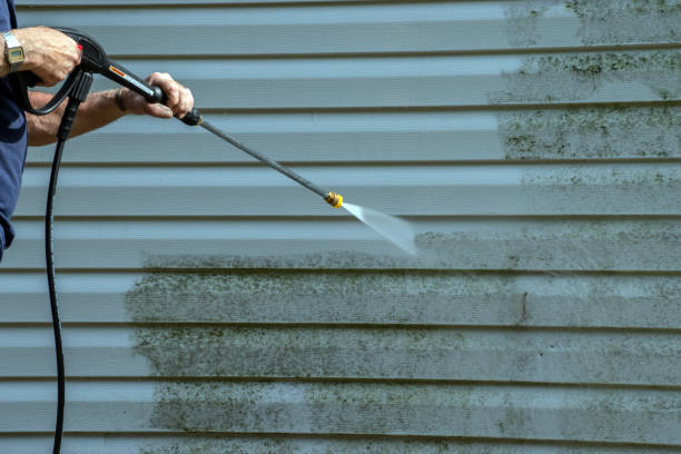 Best Roof Washing  in Jersey Village, TX